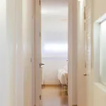Apartamento Bravissimo Hortes, 3-bedroom Centre Gerona